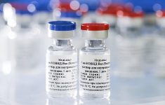Вакцины сбивают заболеваемость коронавирусом в России
