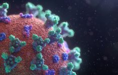 В Англии появился Мю-вариант коронавируса, побеждающий вакцины