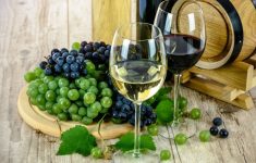 Даже небольшое количество вина грозит старческим слабоумием
