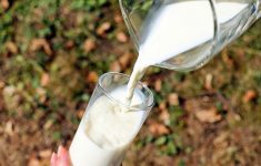 Напиток для завтрака, который надолго снизит уровень сахара в крови: молоко
