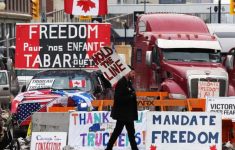 Австрия запретила «Конвой Свободы» вслед за Францией и Бельгией
