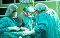 Органы для трансплантации будут универсальными