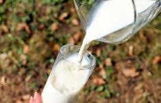 Коровье молоко может ускорить рассеянный склероз