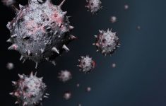 «Хорошие» вирусы помогут бороться с инфекциями