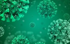 Гибридный иммунитет лучше защищает от коронавируса