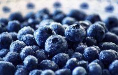 Профилактика диабета и рака: три самые полезные ягоды