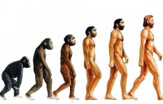 Эволюция может развиваться в четыре раза быстрее