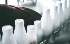 Невосприимчивость к лактозе не мешала пить молоко