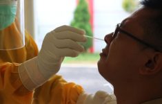 Российская назальная вакцина побеждает все виды коронавируса