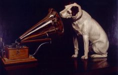 Классическая музыка поможет успокоить собак