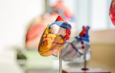 Аутоиммунные болезни повышают риск нарушений в работе сердца
