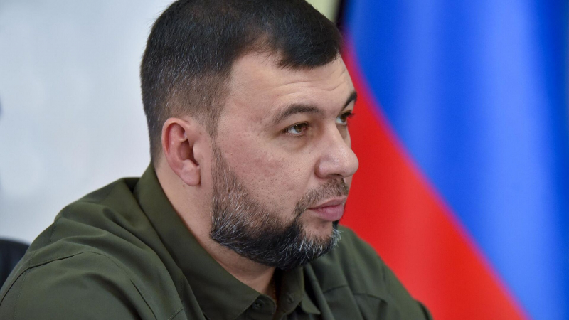 Российские войска вступили в боевые действия в Вольном Поле, заявил Пушилин