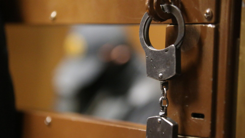Подозреваемый в убийстве актера Ткача частично признал вину