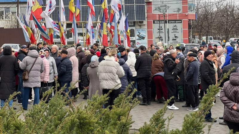 Шор назвал задержание Гуцул беспределом